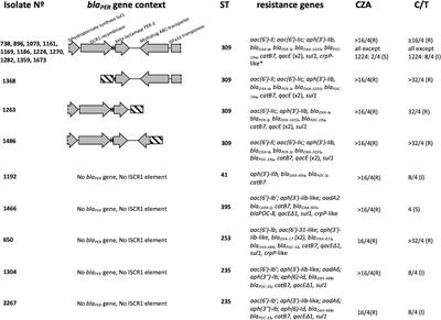 Ceftazidime/avibactam resistance is associated with PER-3-producing ST309 lineage in Chilean clinical isolates of non-carbapenemase producing Pseudomonas aeruginosa